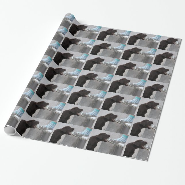 Eat My Shoe! Labrador Puppy Wrapping Paper (Unrolled)