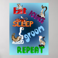 Eat, Pounce, Sleep, Groom, Repeat. Poster