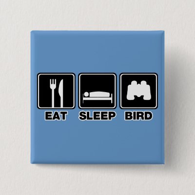 Eat Sleep Bird (bins) Button