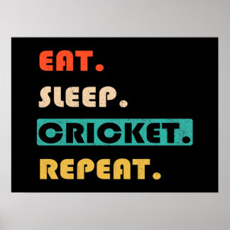Eat Sleep Cricket Repeat Poster