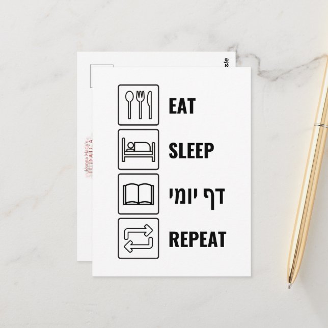 Eat Sleep Daf Yomi Repeat - Jewish Humor Talmud Postcard (Front/Back In Situ)