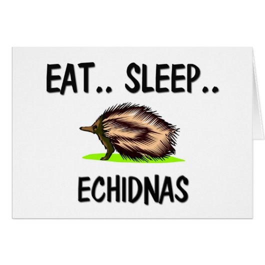 Eat Sleep ECHIDNAS Cards (Front Horizontal)