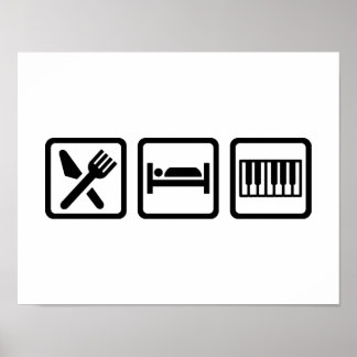 Eat Sleep Piano Poster