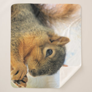Eat Throw Blanket