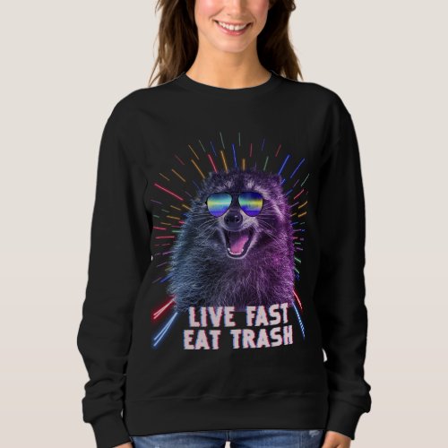 Eat Trash Raccoon Panda Rave Old School Pilot Sung Sweatshirt