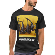 Eat What Bugs You