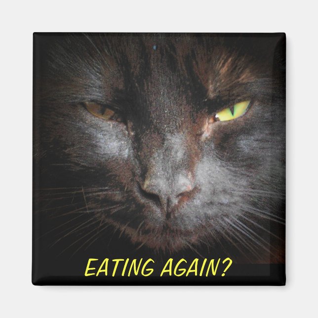 Eating Again? Diet Cat Meme fridgerator Magnet (Front)