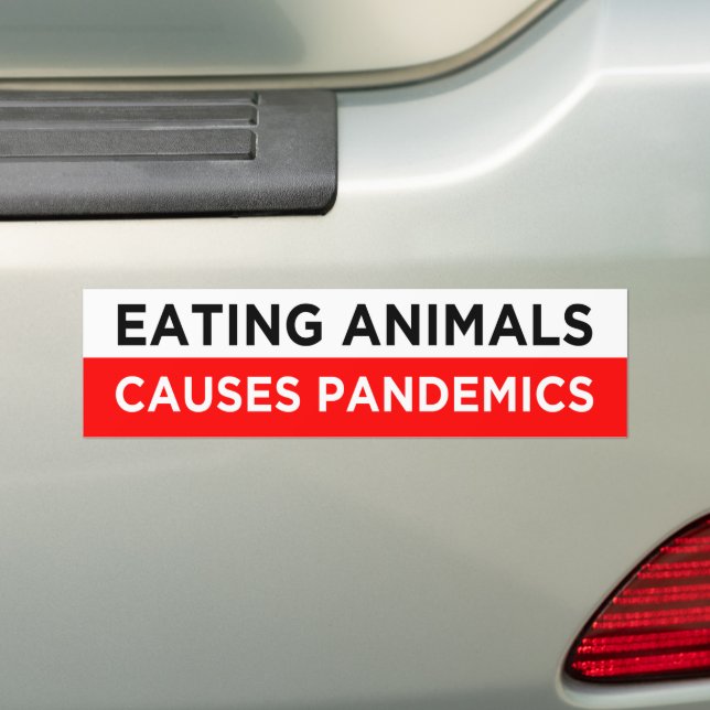 eating animals causes pandemics vegan bumper sticker (On Car)