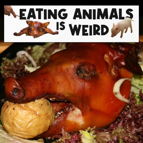 Eating Animals is Weird Vegan Activism   Bumper Sticker
