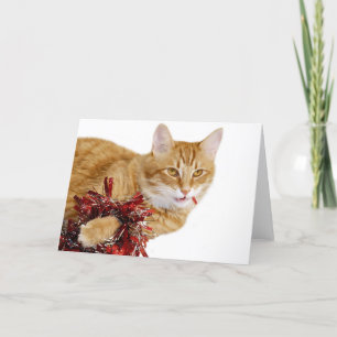 Eating Christmas decorations Holiday Card