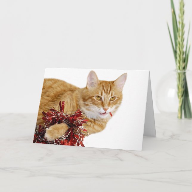 Eating Christmas decorations Holiday Card (Front)