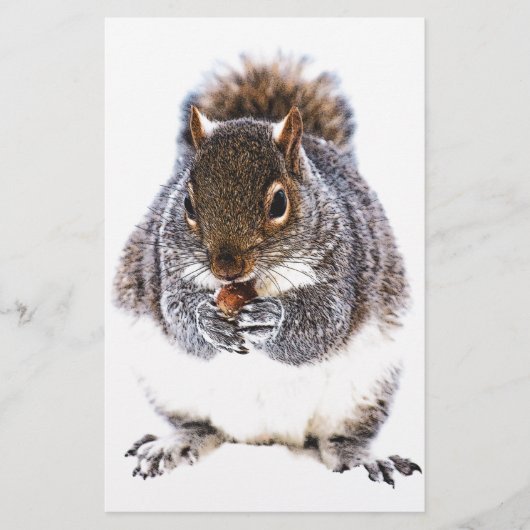 Eating Squirrel (Front)