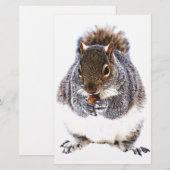 Eating Squirrel (Front/Back)