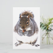 Eating Squirrel (Standing Front)