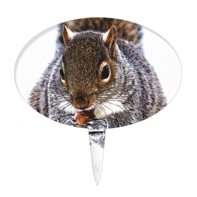 Eating Squirrel Cake Topper (Front)