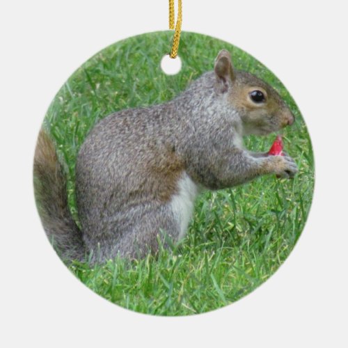 Eating Squirrel Christmas Ornament