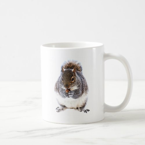 Eating Squirrel Coffee Mug