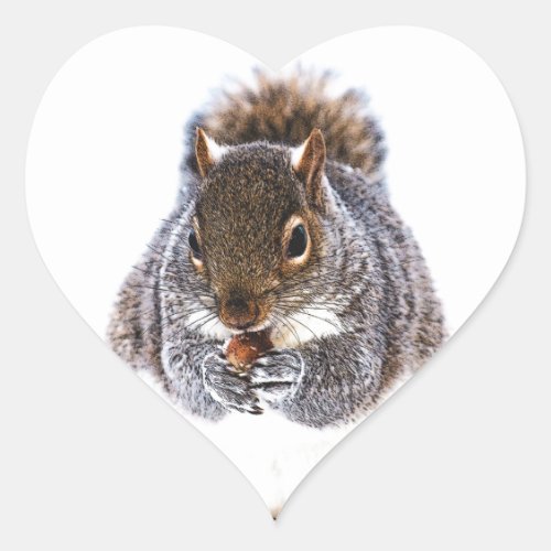 Eating Squirrel Heart Sticker
