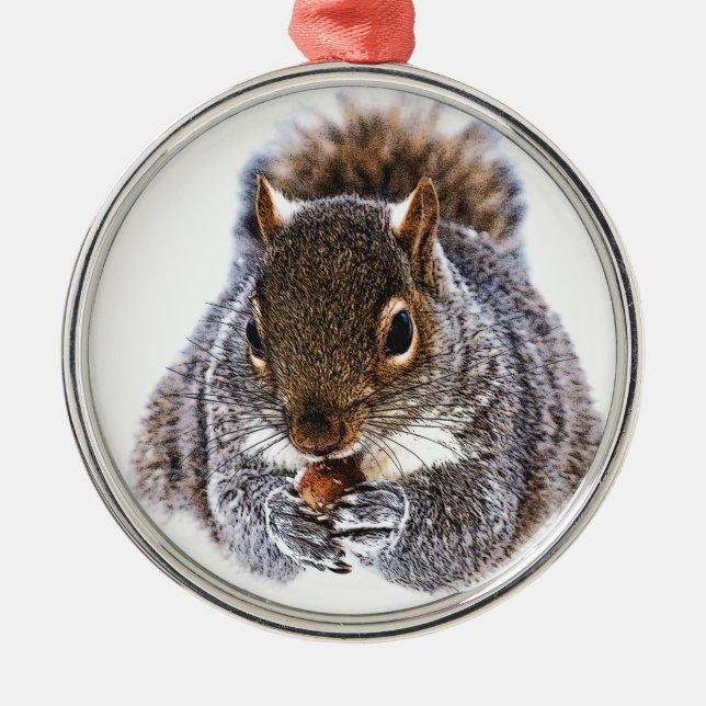 Eating Squirrel Metal Ornament (Front)