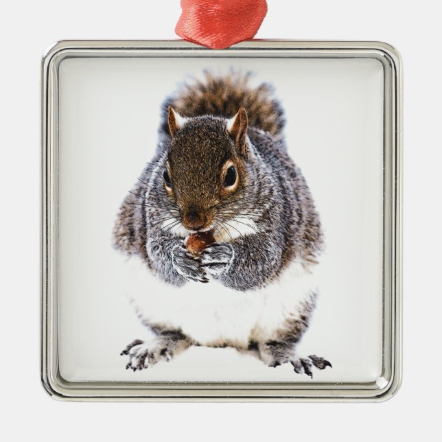 Eating Squirrel Metal Ornament (Front)