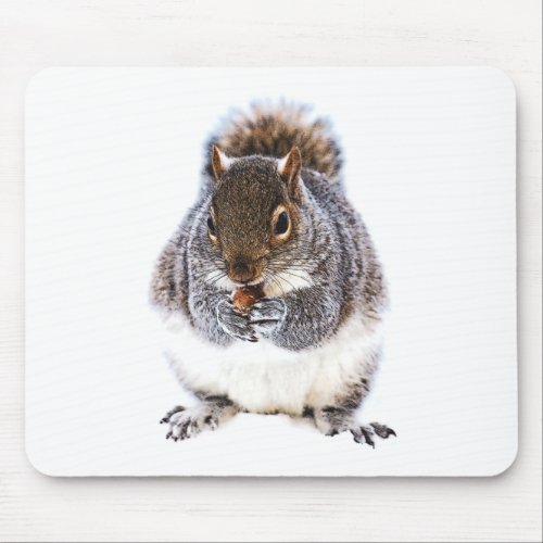 Eating Squirrel Mouse Pad