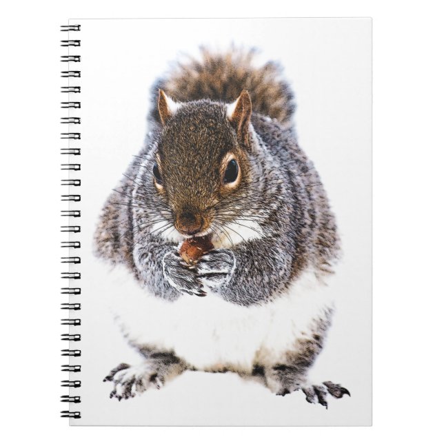 Eating Squirrel Notebook (Front)