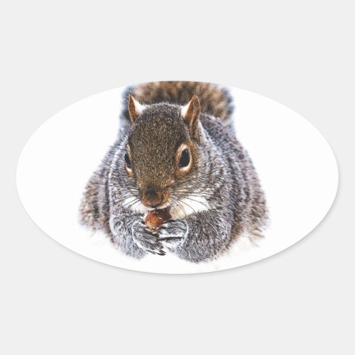 Eating Squirrel Oval Sticker