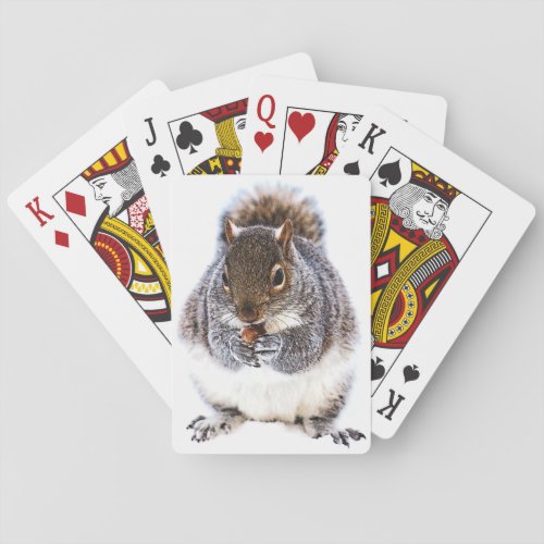 Eating Squirrel Playing Cards