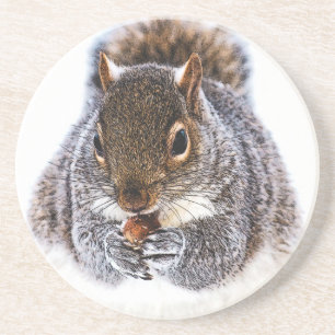Eating Squirrel Sandstone Coaster