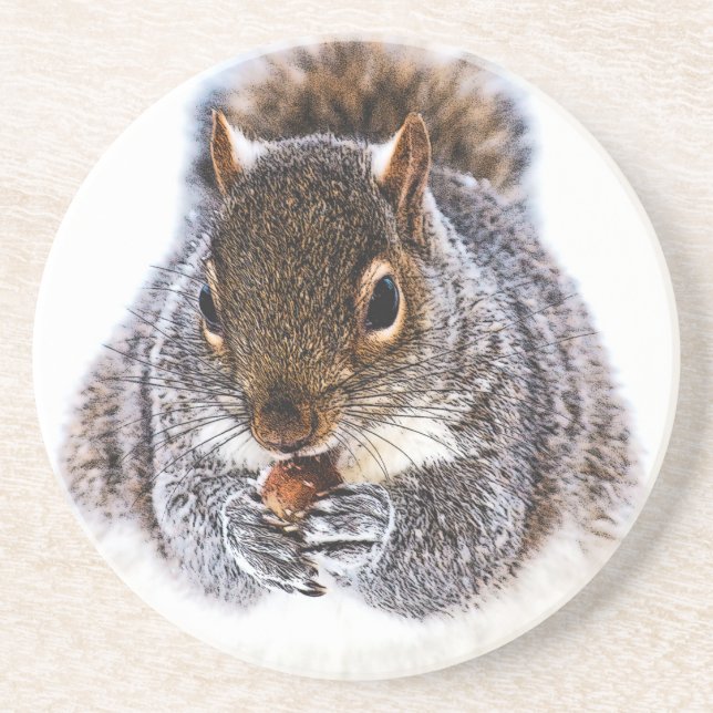Eating Squirrel Sandstone Coaster (Front)
