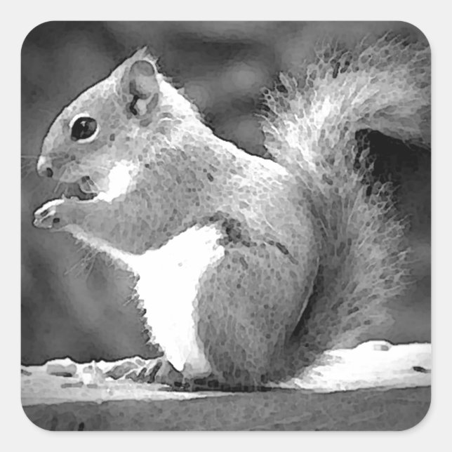 Eating Squirrel Square Sticker (Front)