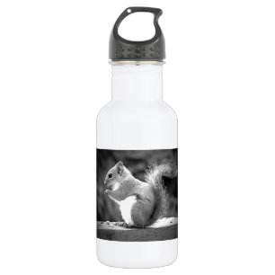 Eating Squirrel Stainless Steel Water Bottle