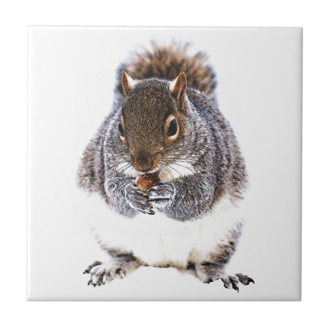 Eating Squirrel Tile (Front)