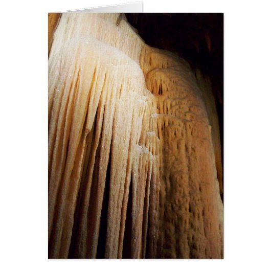 Ebb Tide Card (Front)