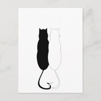 Ebony and Ivory Cats Postcard