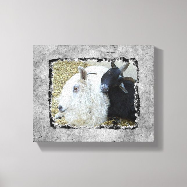 Ebony and Ivory Goat Buddies Canvas Print (Front)