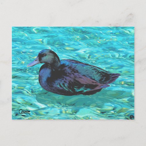 Ebony Duck _ Postcard