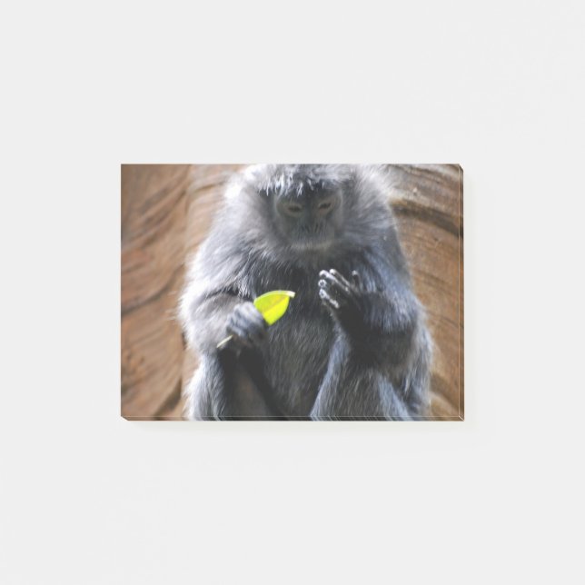 Ebony Langur Post-it Notes (Front)