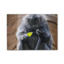 Ebony Langur Post-it Notes