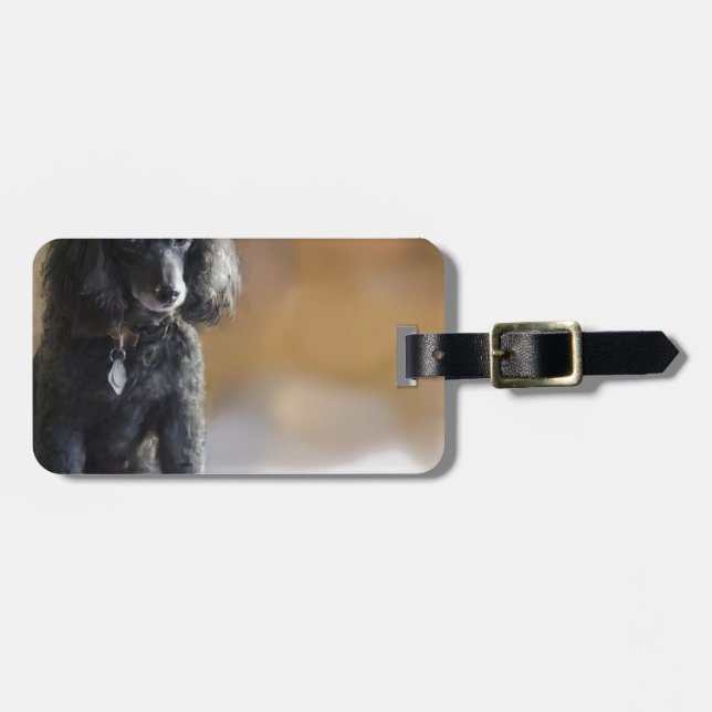 Ebony Luggage Tag (Front Horizontal)