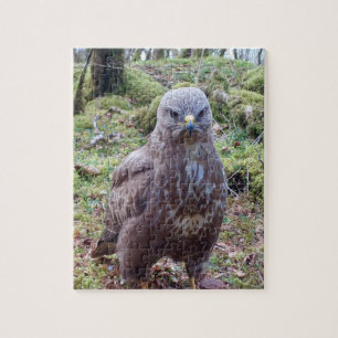 Eccentric Grumpy Buzzard With Attitude Stare Jigsaw Puzzle