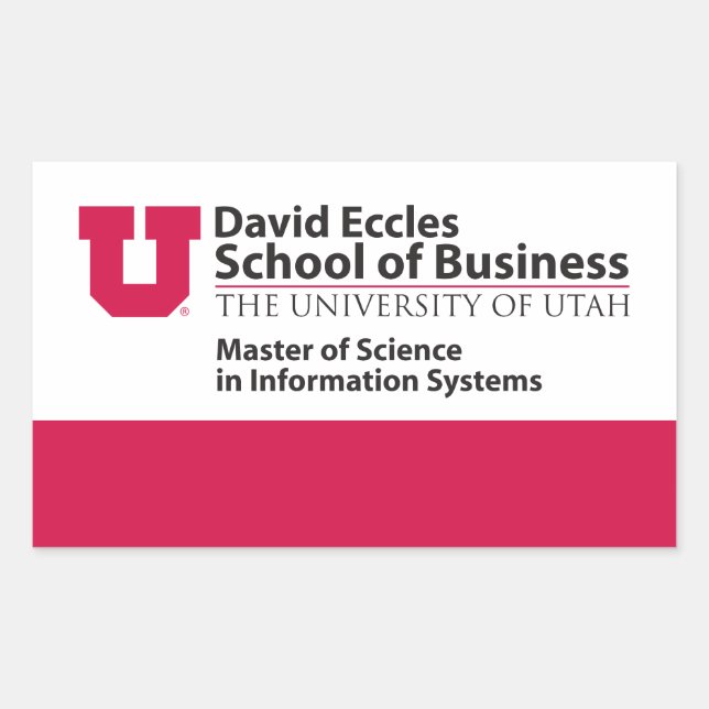 Eccles Information Systems Rectangular Sticker (Front)