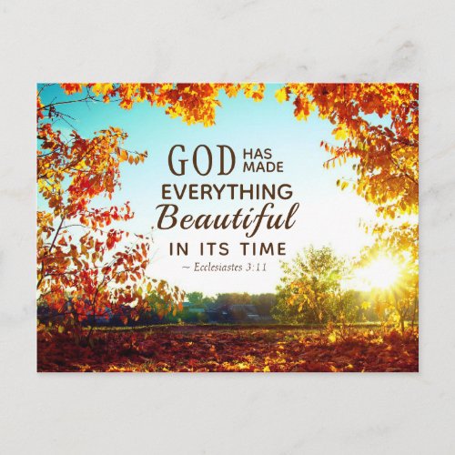 Ecclesiastes 311 He has made everything beautiful Postcard