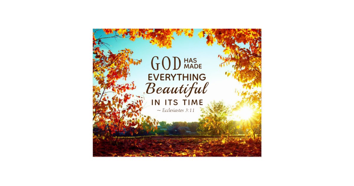 Ecclesiastes 311 He Has Made Everything Beautiful Postcard