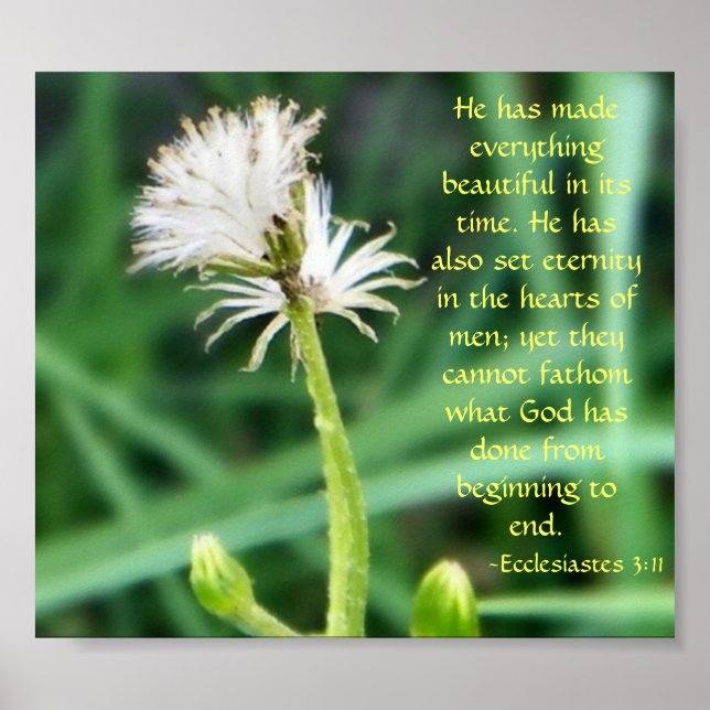 Ecclesiastes 3:11 print (Front)