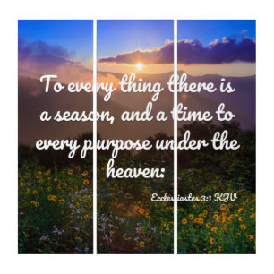 Ecclesiastes 3:1 Bible Verse KJV Pic Wall Art