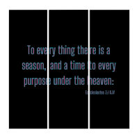 Ecclesiastes 3:1 Bible Verse KJV Wall Art