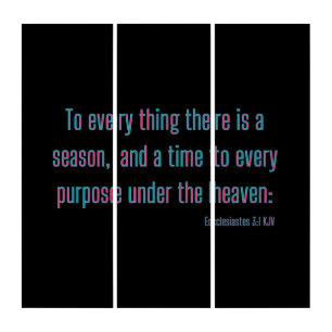 Ecclesiastes 3:1 Bible Verse KJV Wall Art