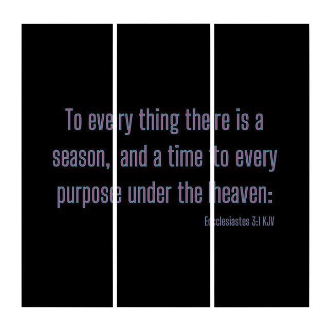 Ecclesiastes 3:1 Bible Verse KJV Wall Art (Front)