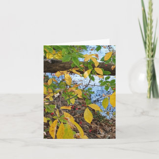 Ecclesiastes 3:1 card